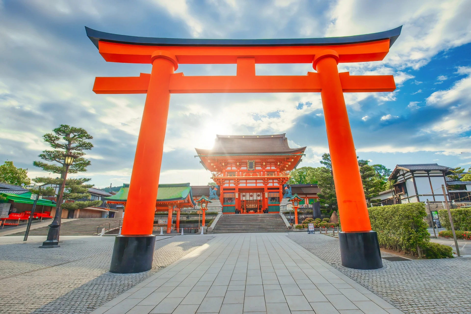 Explore Kyoto & Nara: Temples, Shrines & Deer Park Adventure!