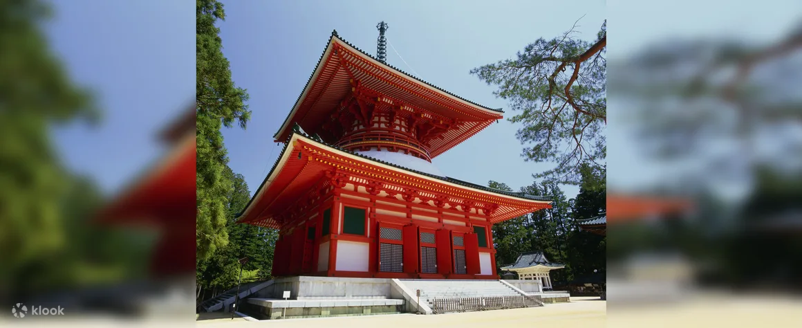 Explore the Sacred Sites of Mt. Koya: A Guided Walking Tour from Osaka