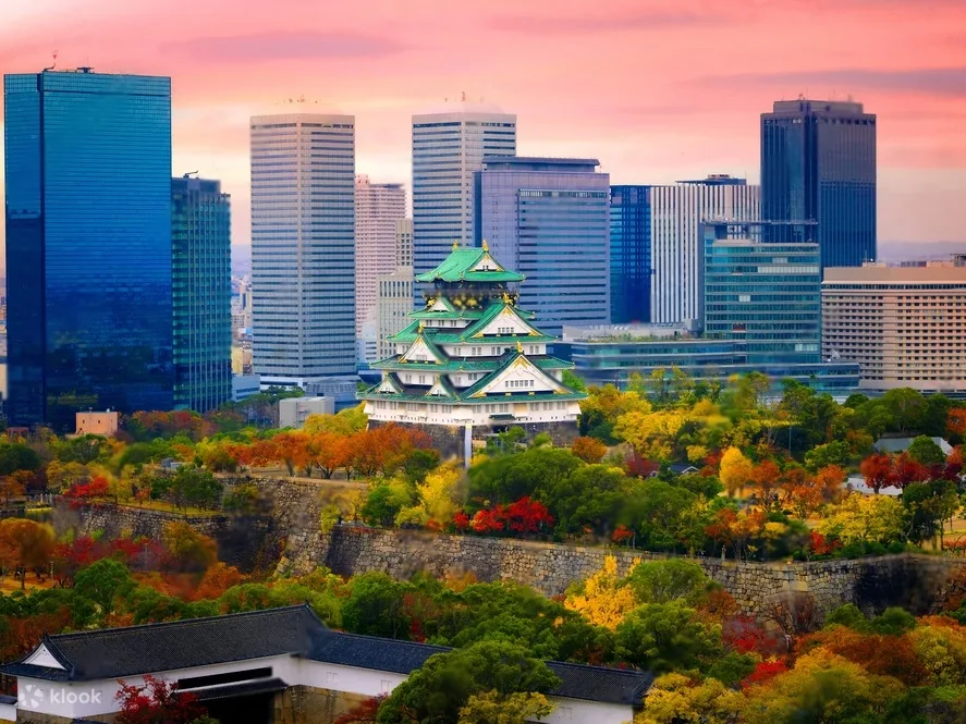 Explore Osaka & Kyoto: Your Private Customized Day Trip Awaits!