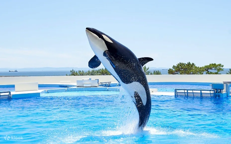 Kobe & Rokko: Scenic Day Trip to Suma Seaworld & Garden Terrace