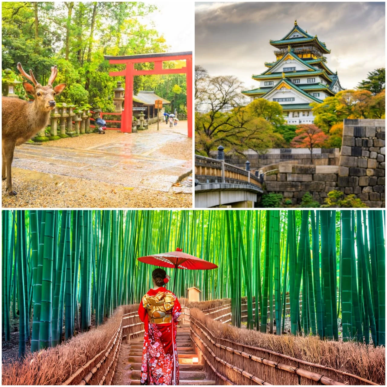 Explore Osaka, Kyoto & Nara: 3-Day Private Tour