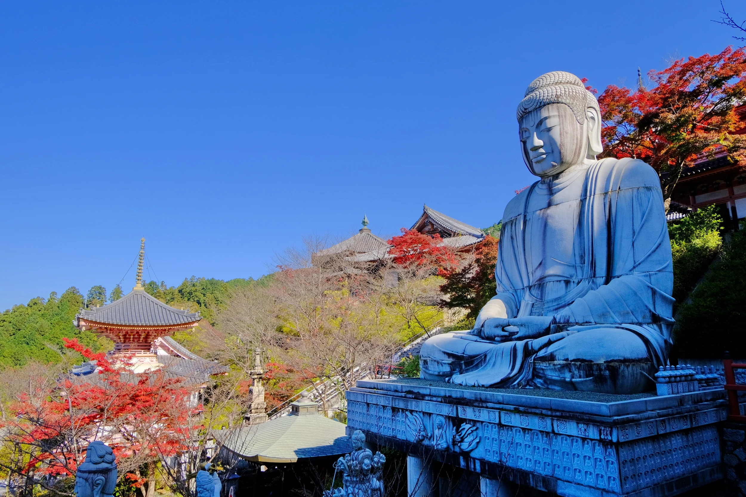 Autumn Leaves, Buddha, Mt. Yoshino & Orange Picking Tour: A Vibrant Osaka Adventure