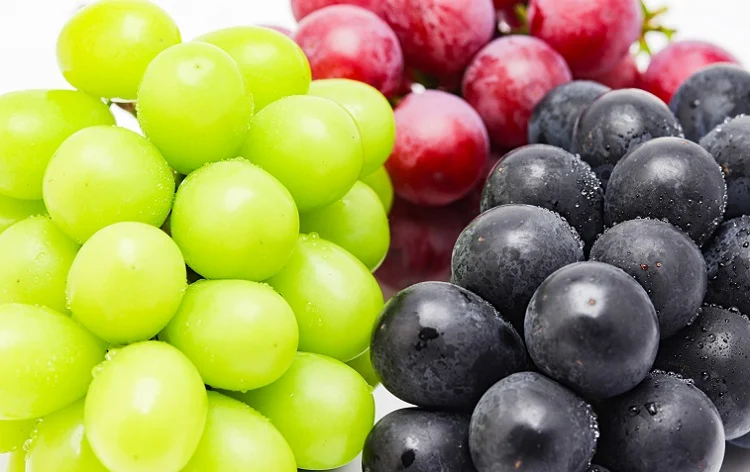 Seasonal Fruit Feast & Magical Cave Lights Day Trip from Osaka