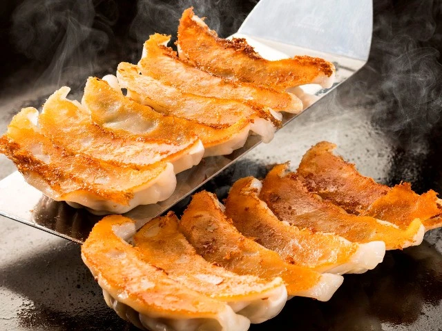 All Japan Gyoza Festival 2