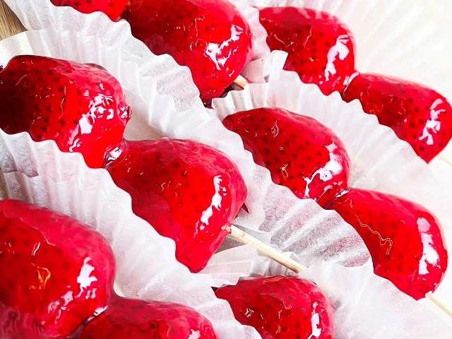 All Japan Gyoza Festival 9