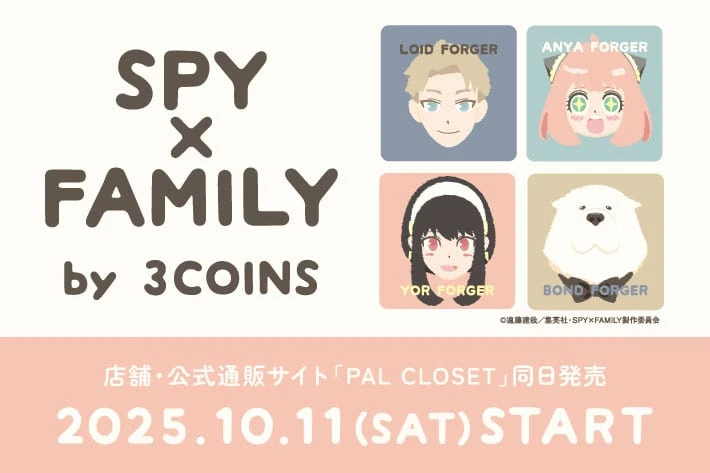 SPY X FAMILY 3COINS