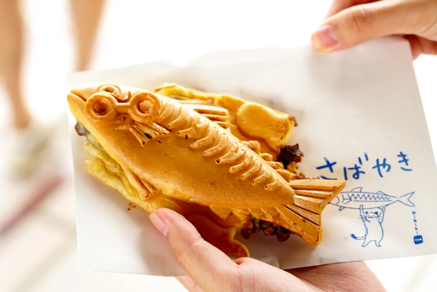 Megane (Glasses) Festival 5