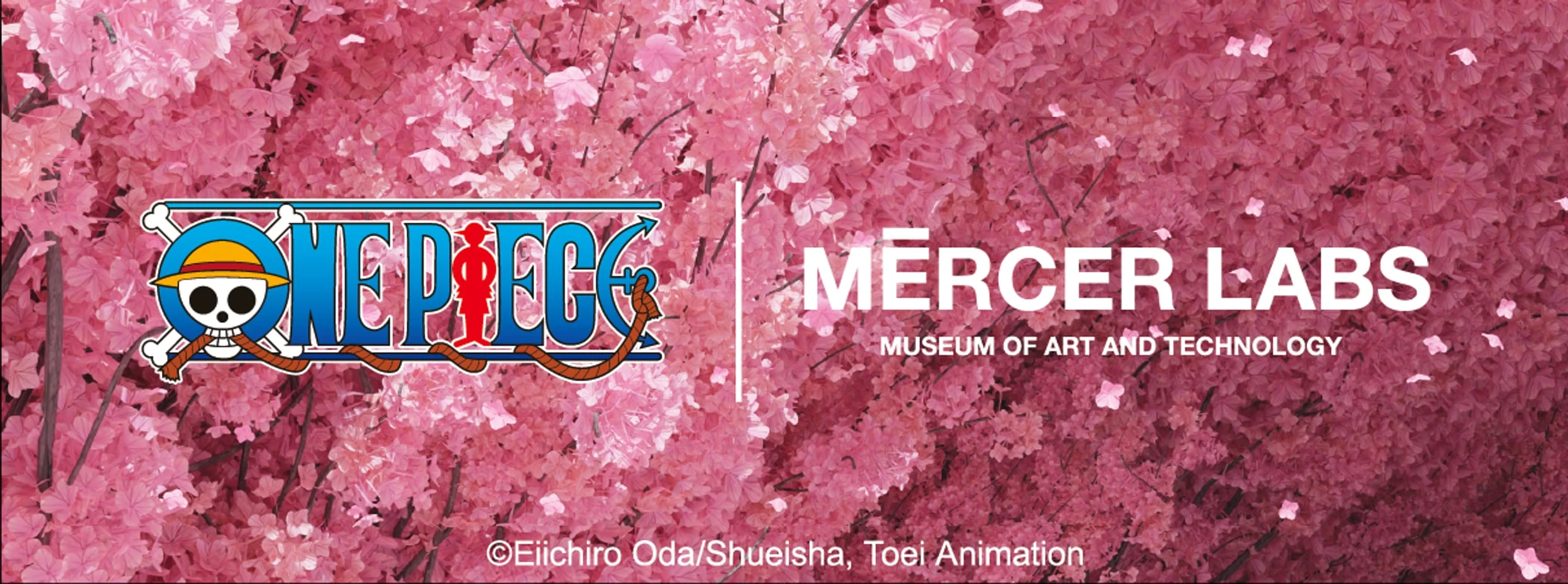 Mercer Labs x One Piece Exhibition 2