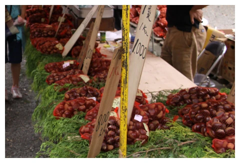 Ōkunitama Shrine Autumn Festival 1