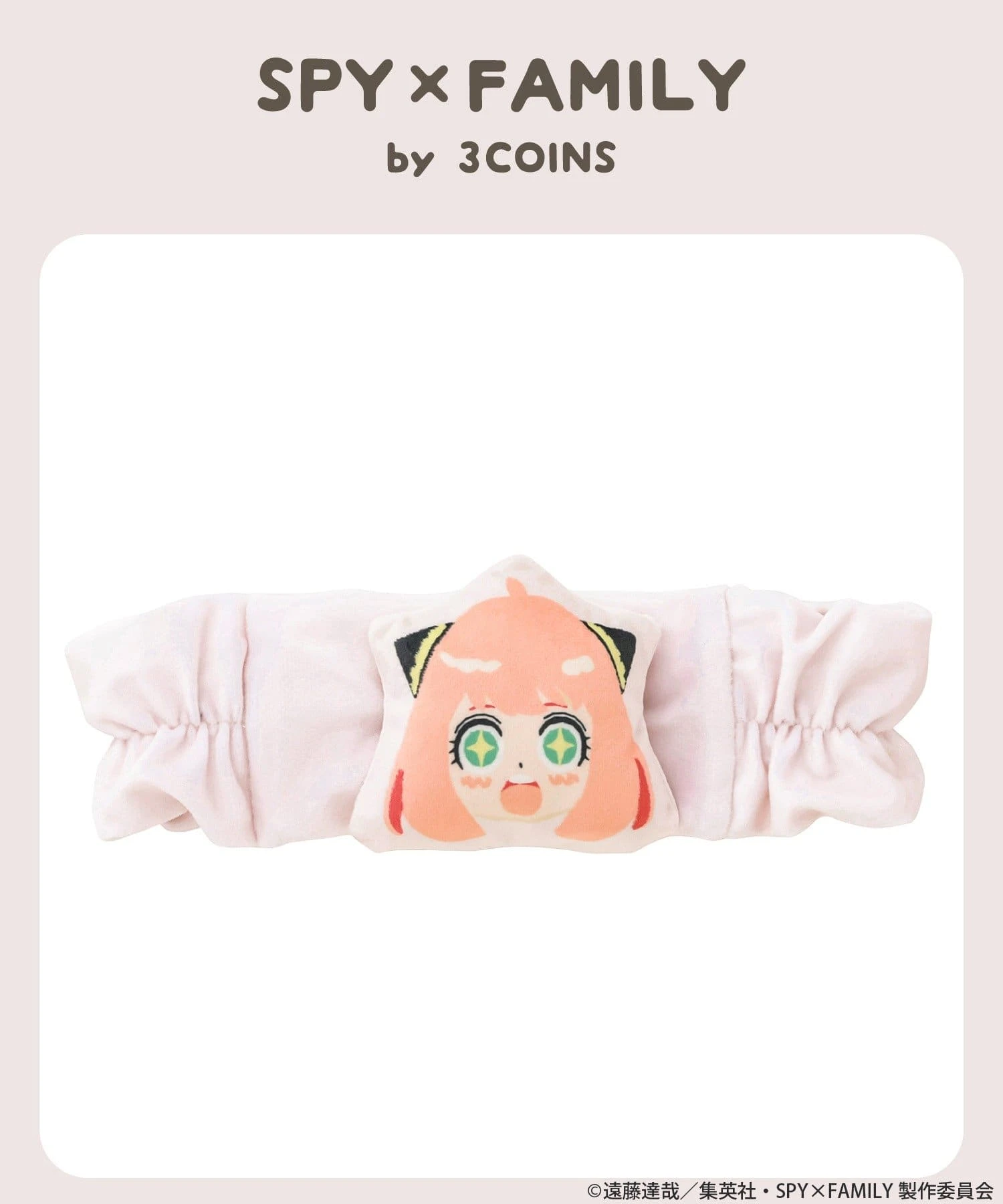 SPY X FAMILY 3COINS 13