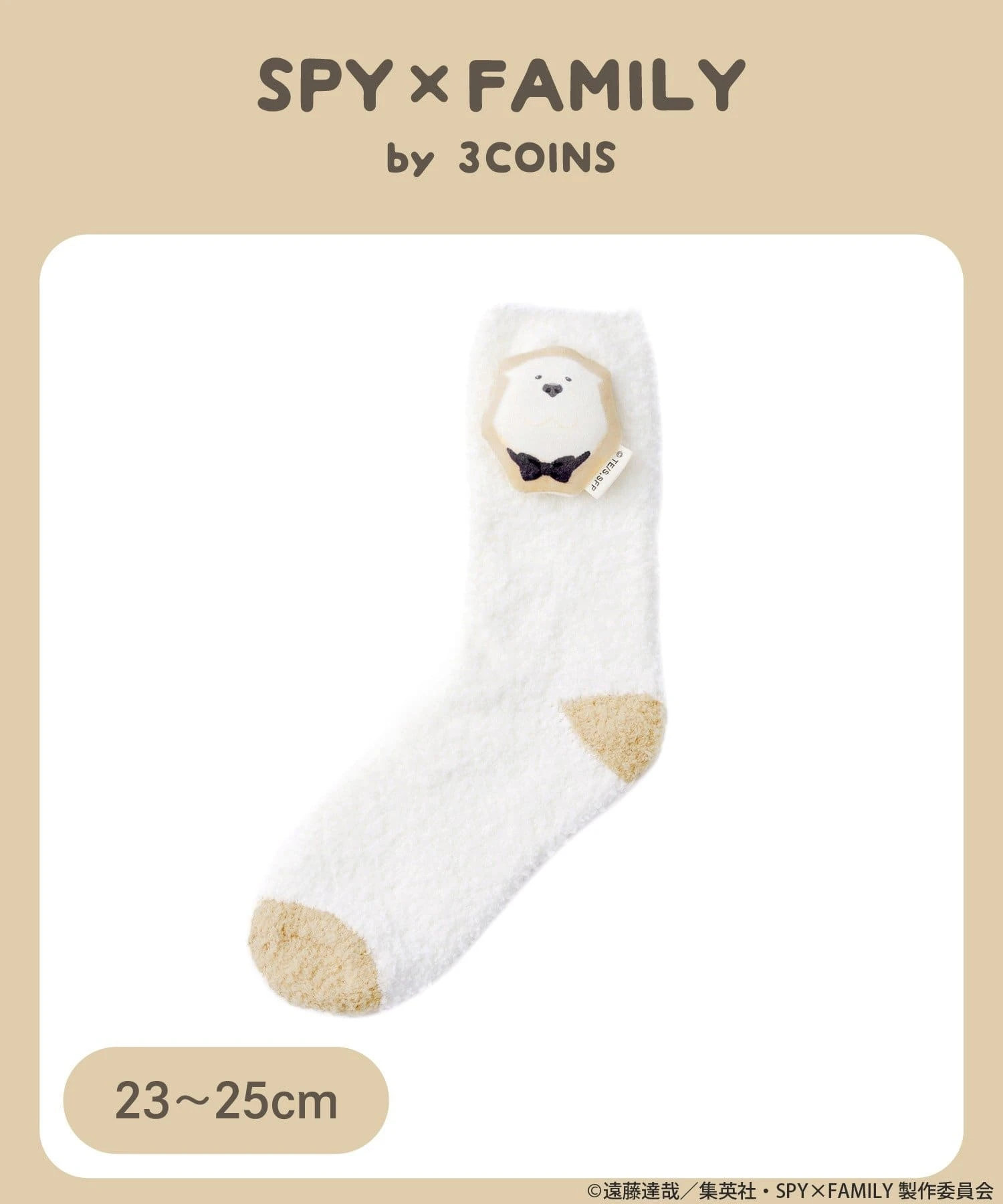 SPY X FAMILY 3COINS 8