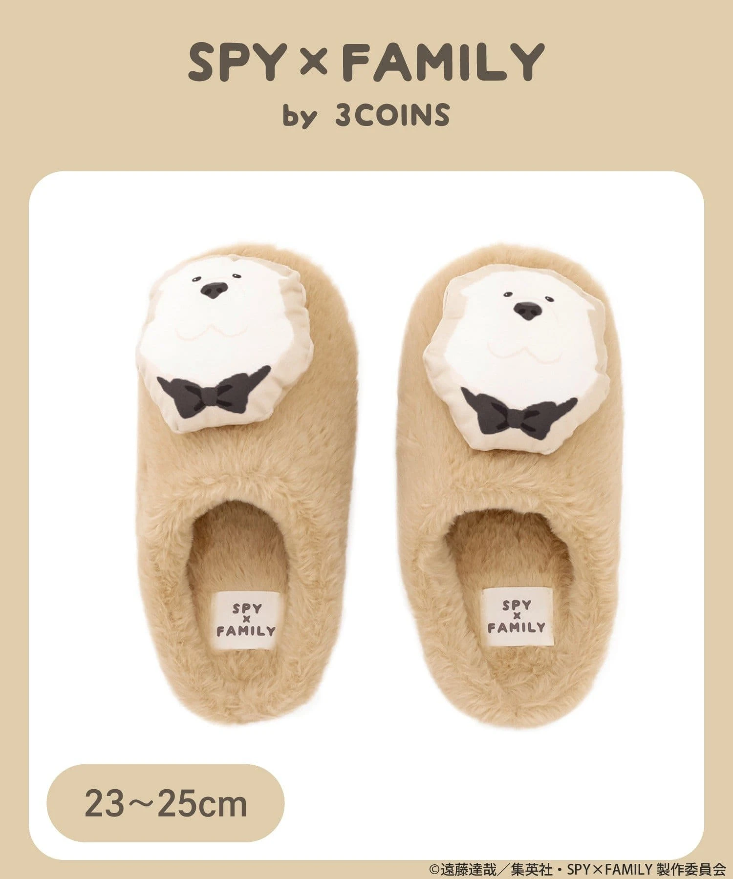 SPY X FAMILY 3COINS 9