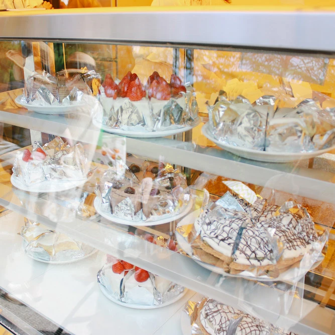 Tokyo Vegan Gourmet Festival 2