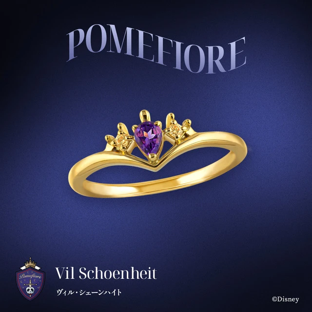 Twisted Wonderland jewelry 14