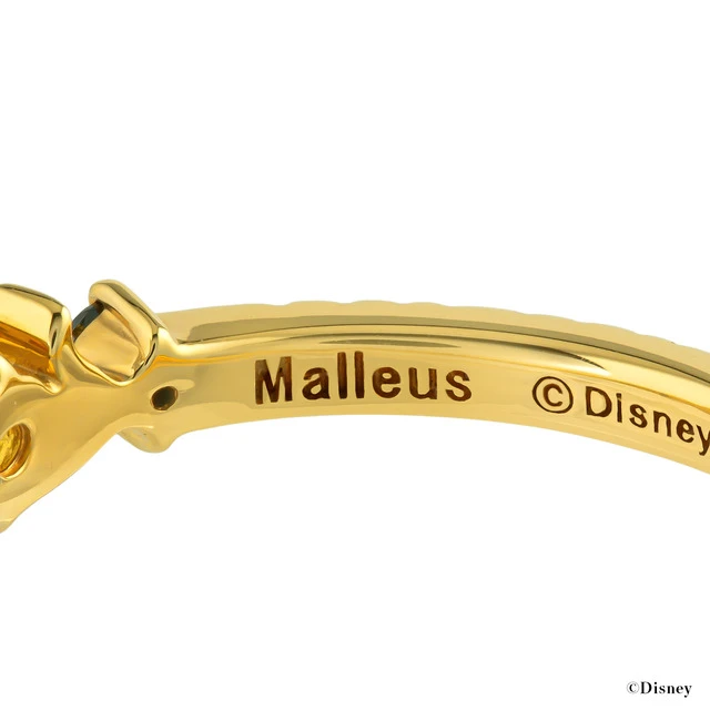 Twisted Wonderland jewelry 22