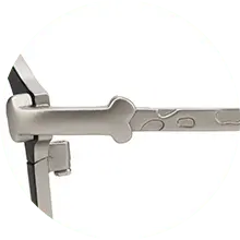 disney animals zoff glasses 55