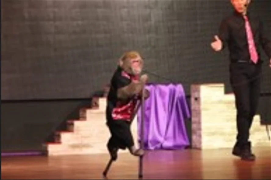 Kobe Illuminage 2025 10