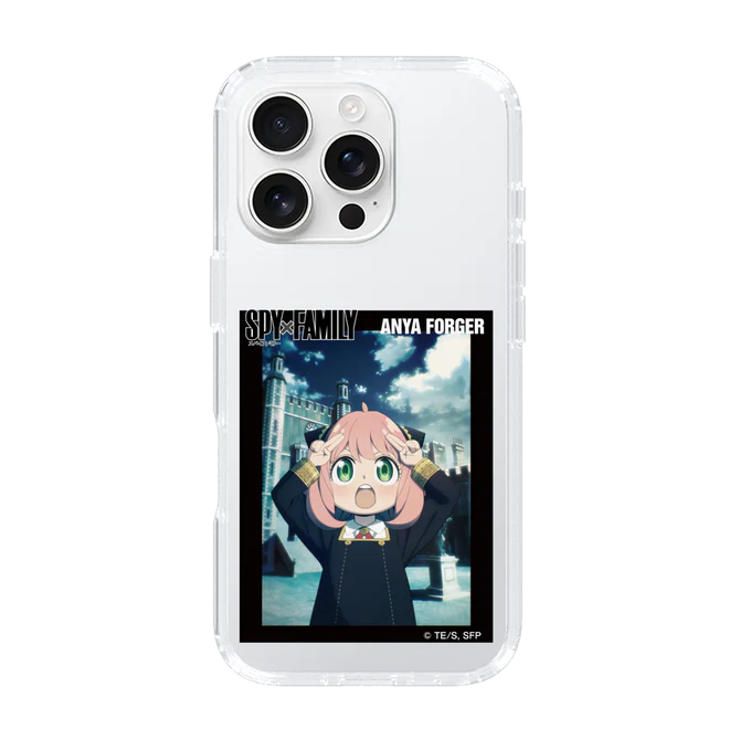 SPY x FAMILY caseplay 12