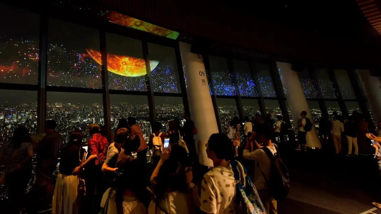 完売品moontreeplanet ムーンツリープラネットTOO PARK 楽天市場】MOON TREE PLANET / ムーンツリープラネット | TOO