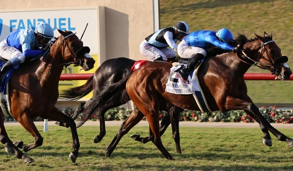 Uma Musume sponsorship 2