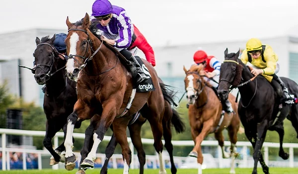 Uma Musume sponsorship 3