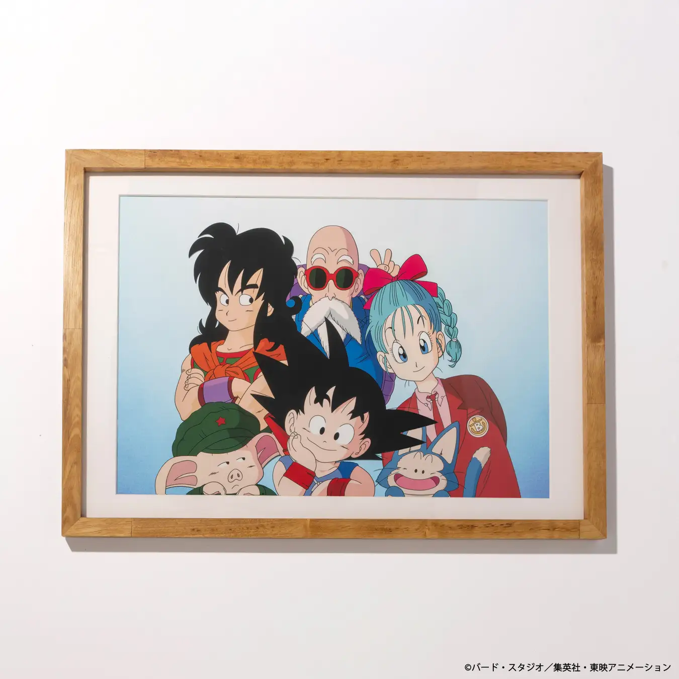 dragonball store tokyo goods 3