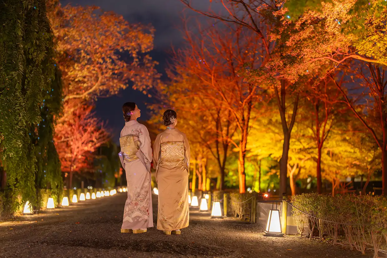 naked nijo castle 2025 moon viewing 06