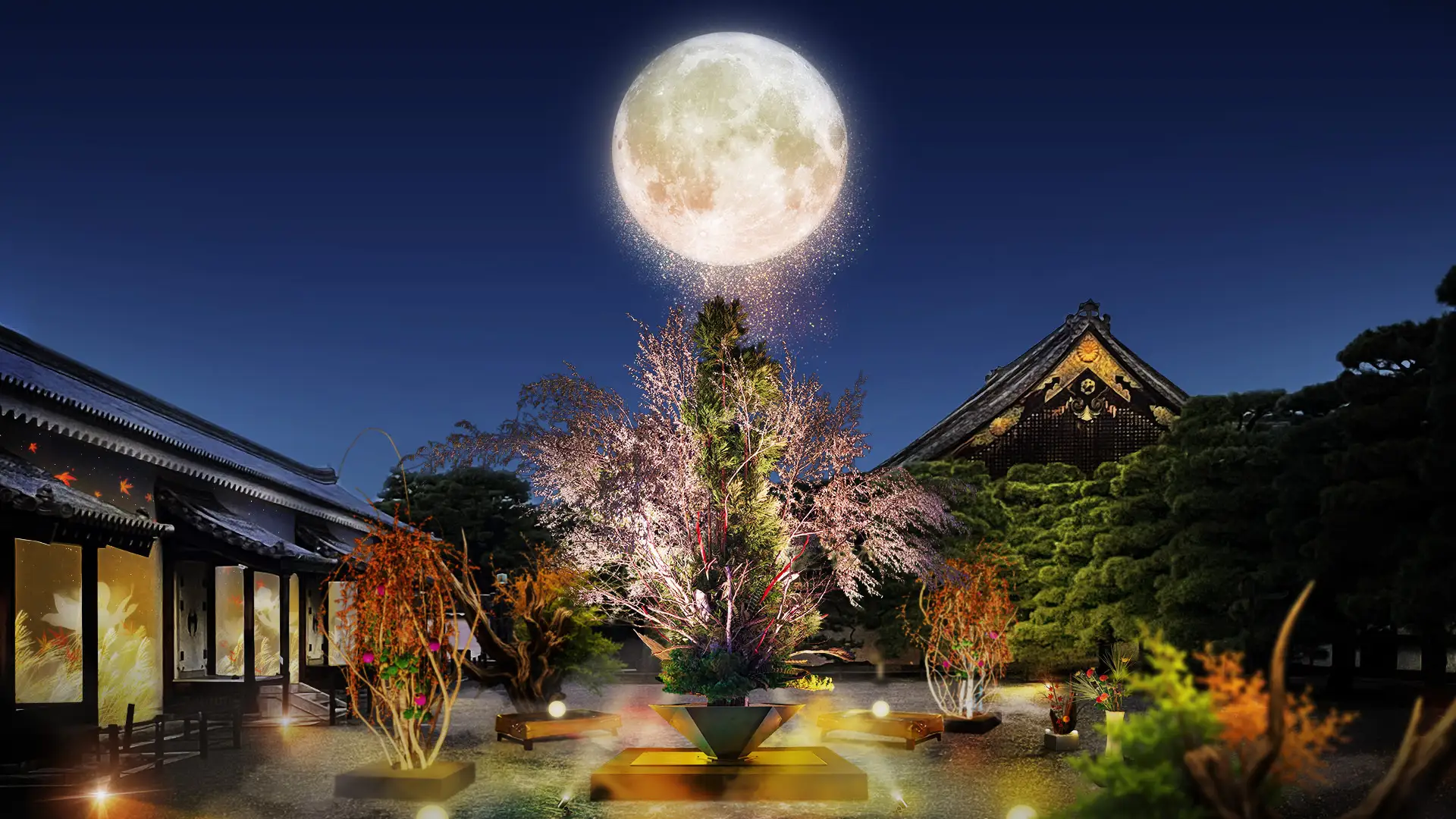 naked nijo castle 2025 moon viewing 2