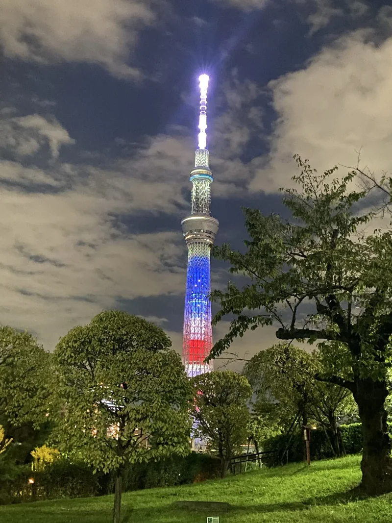 trump japan illuminations 33