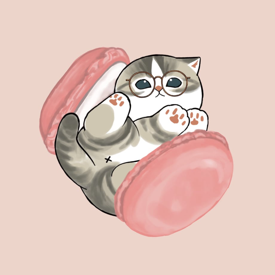 zoff mofusand glasses 62