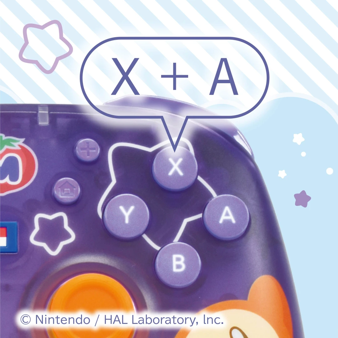 Kirby controller and accessories 6