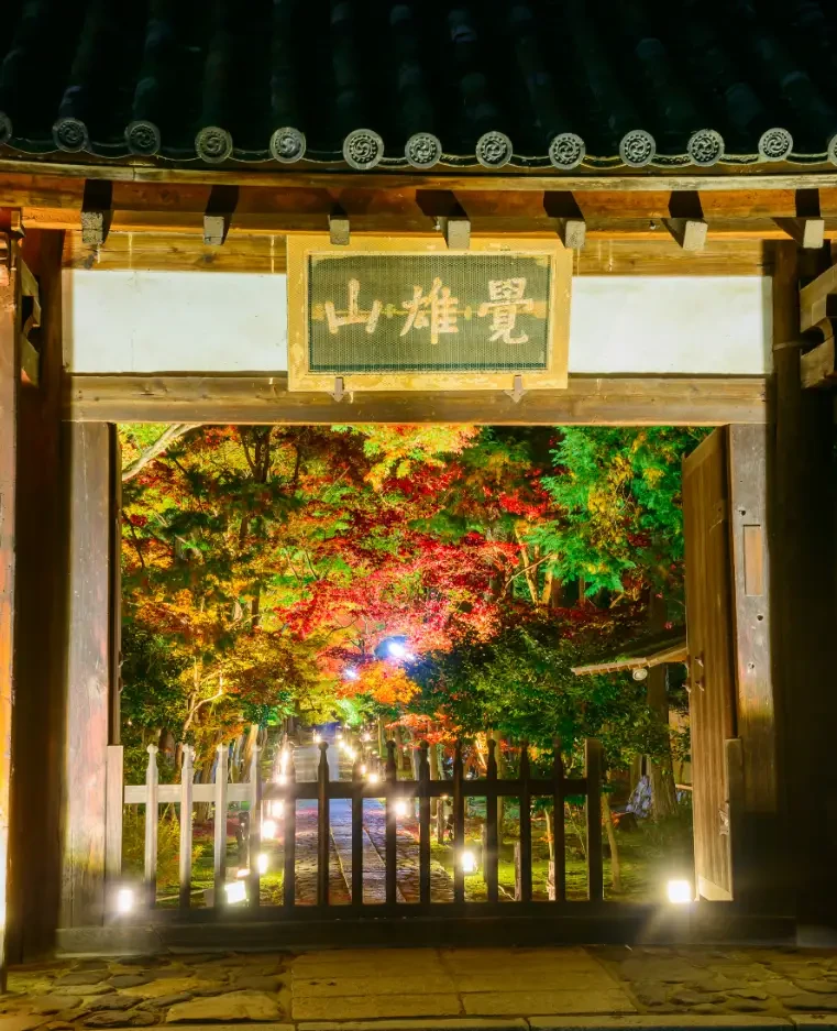 Rokuo in Temple Autumn Night Viewing 10