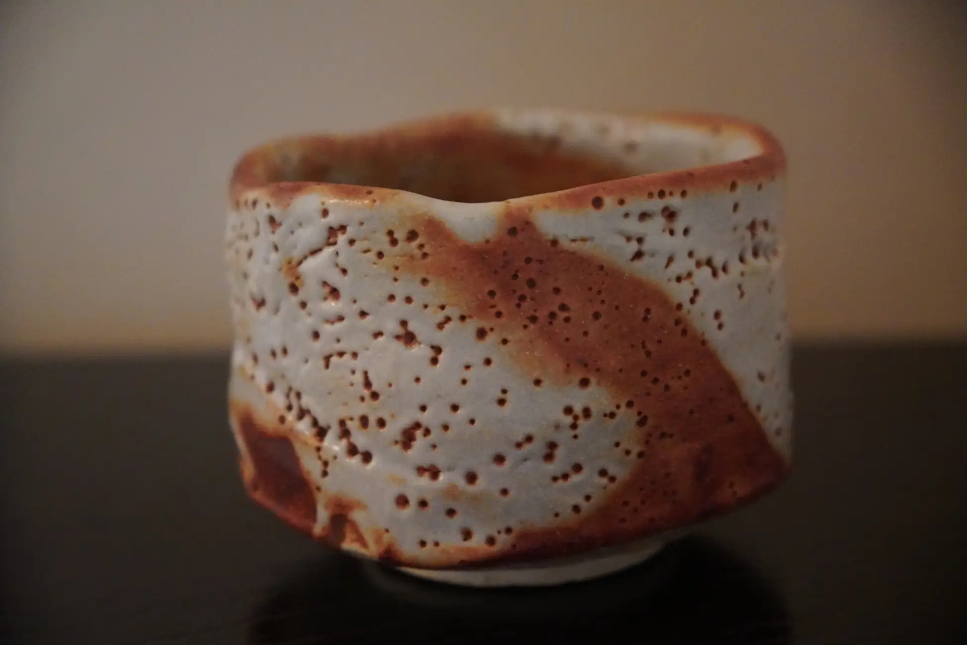 Rokuo in Temple Autumn Night Viewing 12