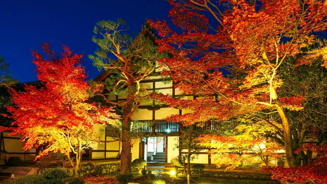 Rokuo in Temple Autumn Night Viewing
