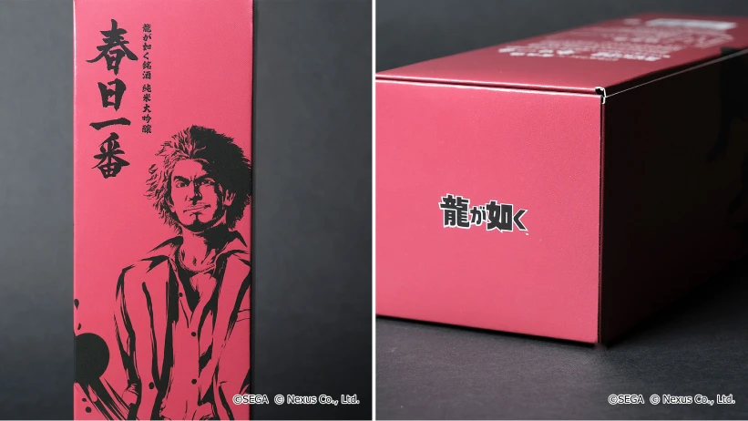 Like a Dragon Sake 10