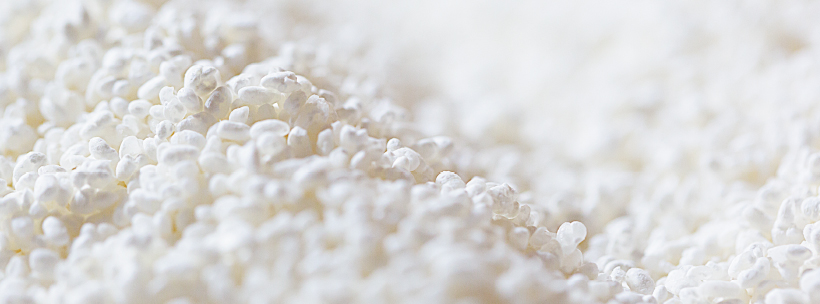 Like a Dragon Sake 11