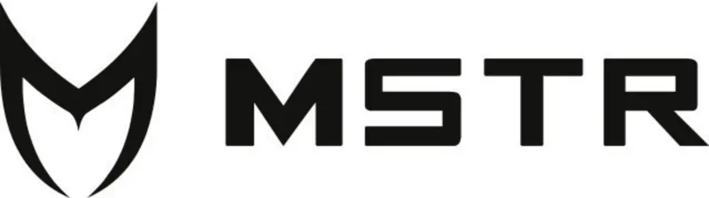 mstr meister watches logo