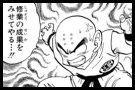 Dragon Ball Fan Poll 11