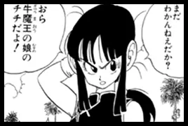 Dragon Ball Fan Poll 17