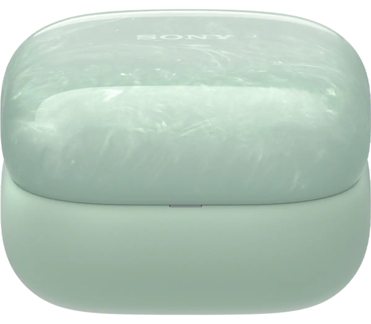 Hatsune Miku for Limited Edition LinkBuds 10