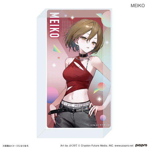 Miku Idol Costume Merch Collection 66