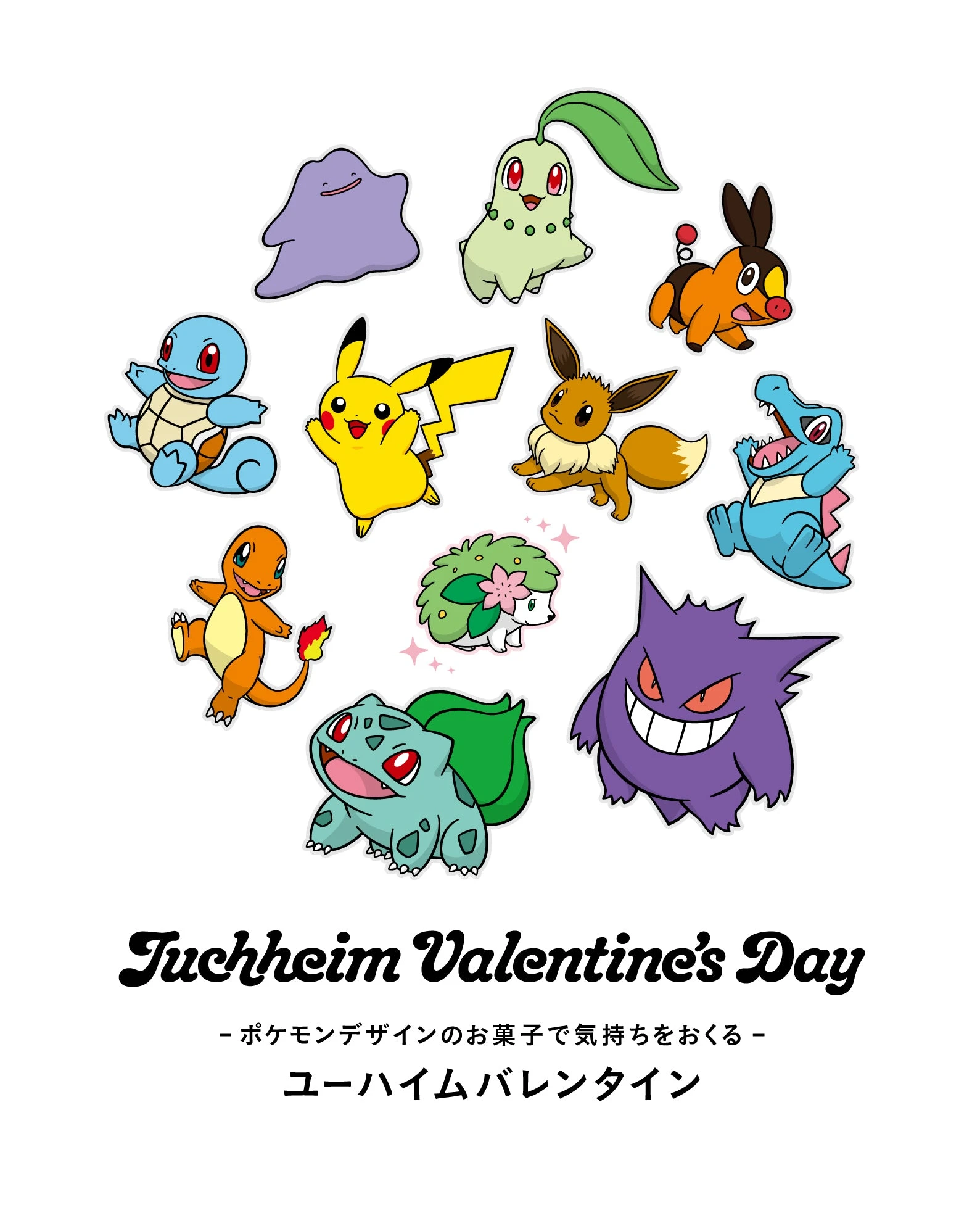 POKEMON VALENTINES DAY JUCHHEIM 13