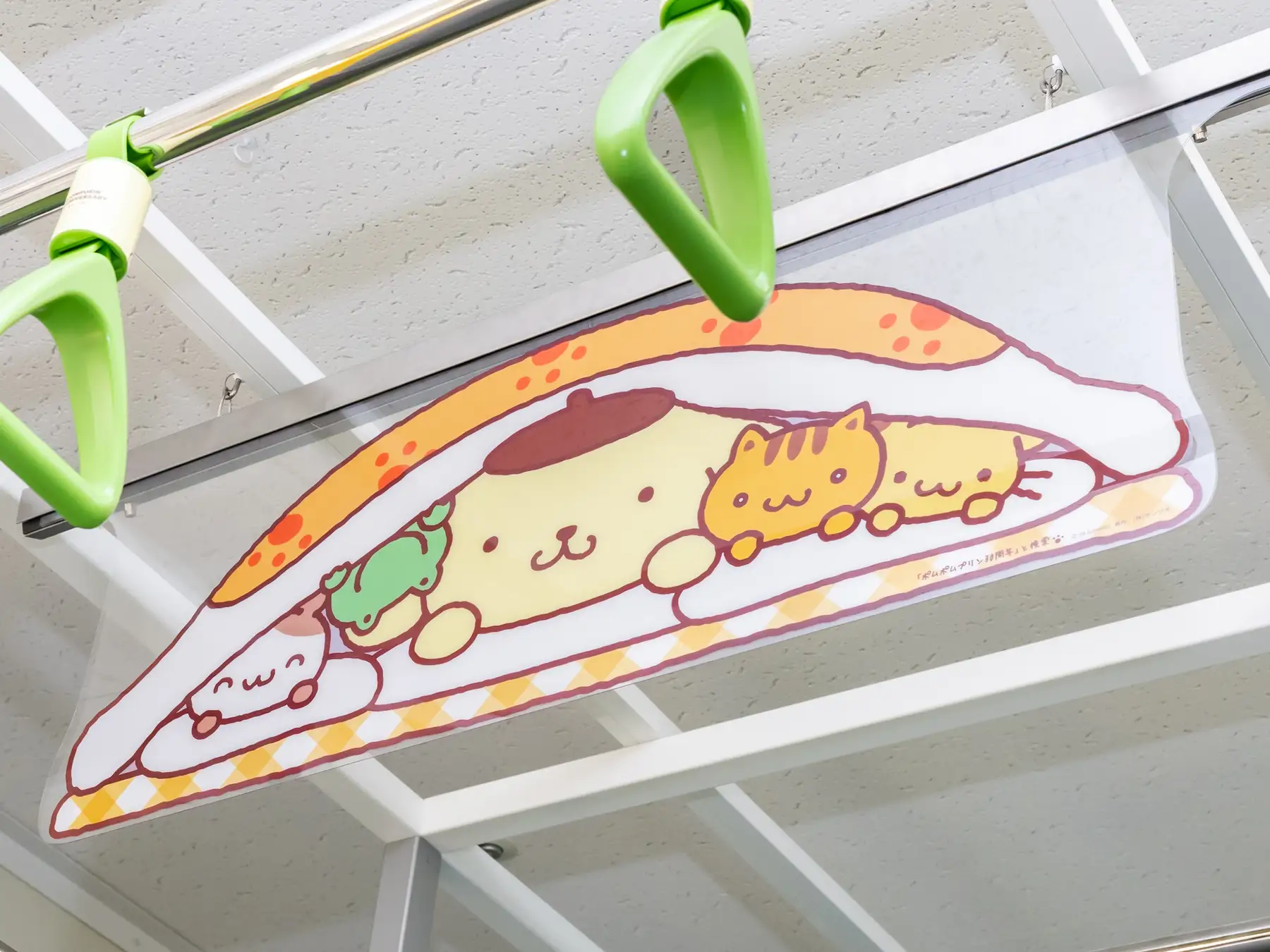 Pompompurin Train 5