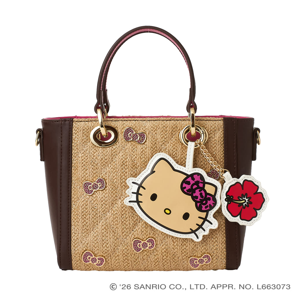 hello kitty sanrio diana 14