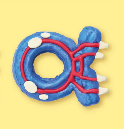 pokemon pikachu sweets legends za dlc donuts 9