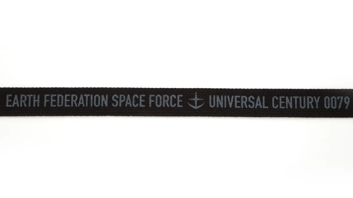 gundam strict g dickies collab 1