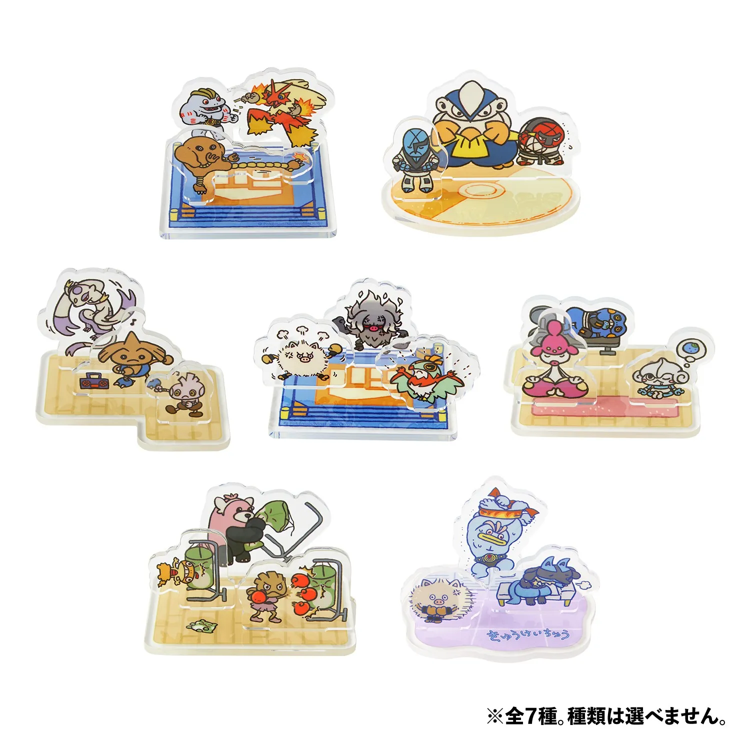 pokemon center fighting training goods 16