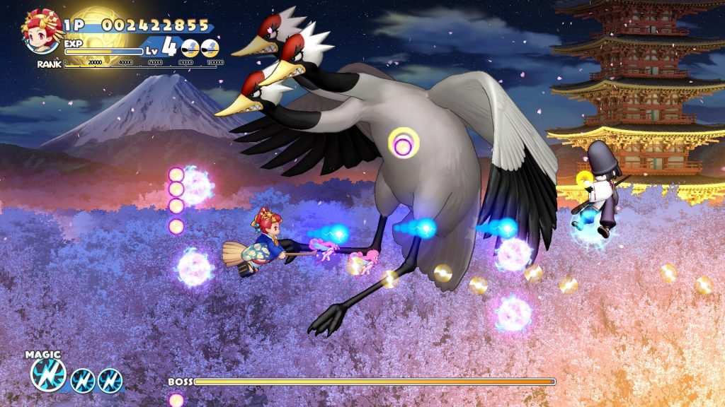 Cotton Rock With You Date 10