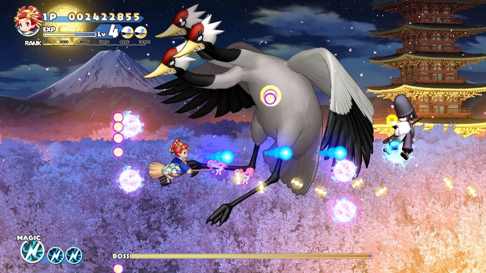 Cotton Rock With You Date 10