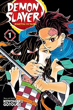Demon Slayer volume 1